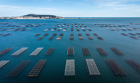 源頭采購(gòu)，真材實(shí)料