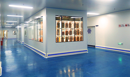 標(biāo)準(zhǔn)化生產(chǎn)工廠(chǎng)